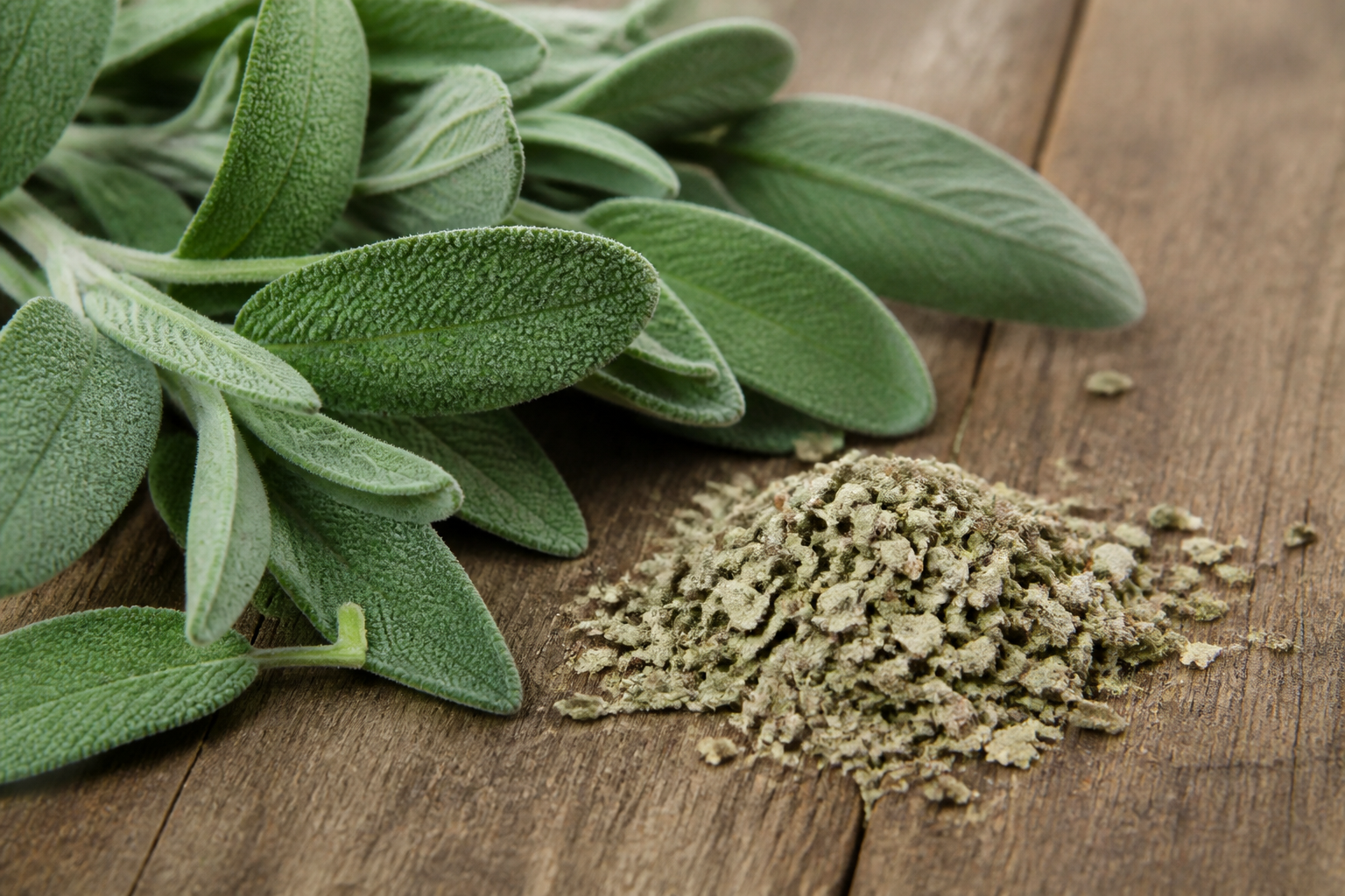 Fresh and dried sage leaves