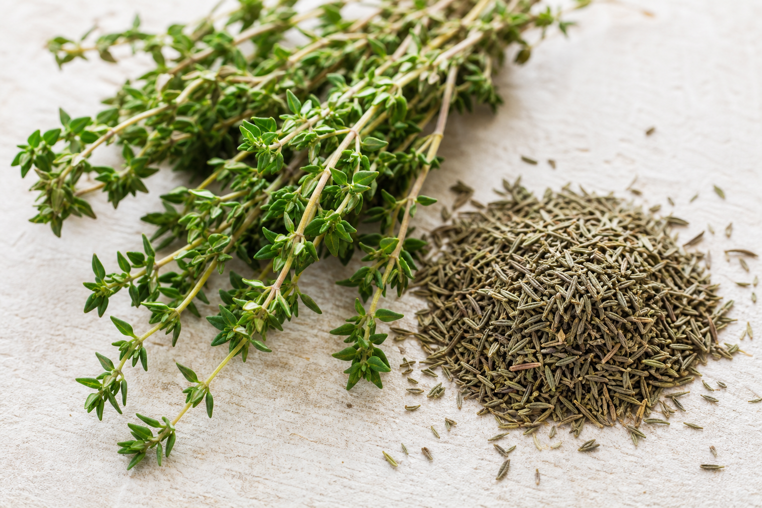 Fresh and dried thyme