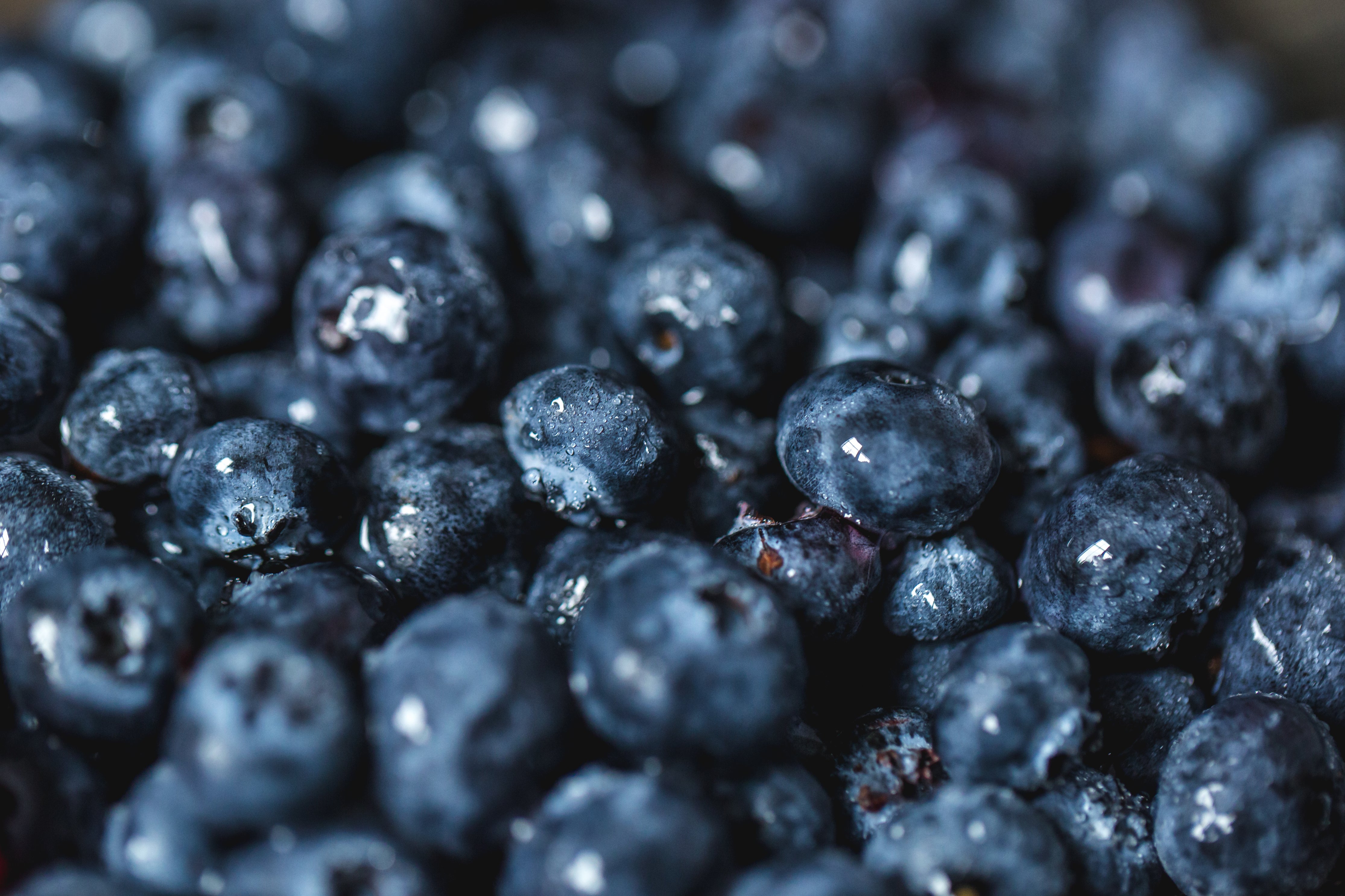 Blueberry stock photo