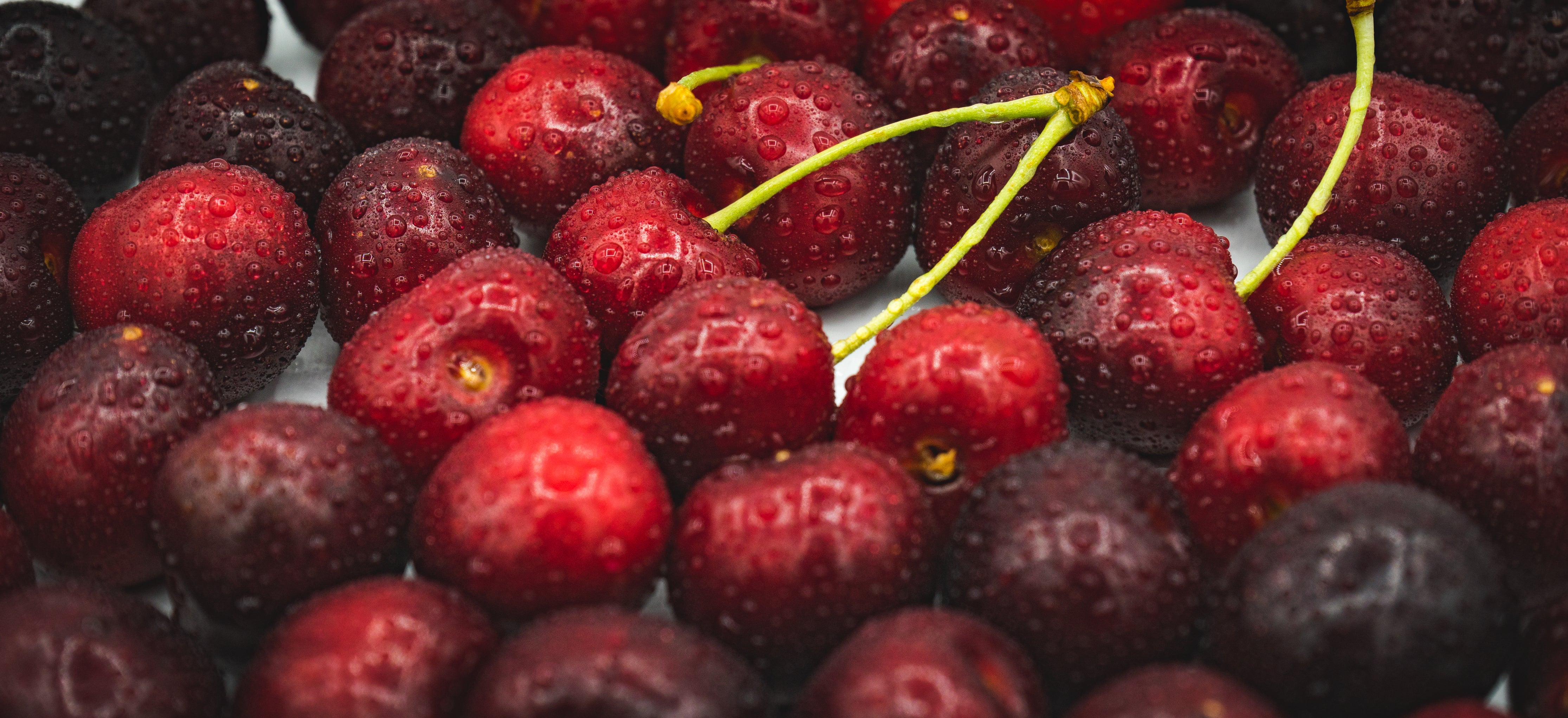 Cherry stock photo